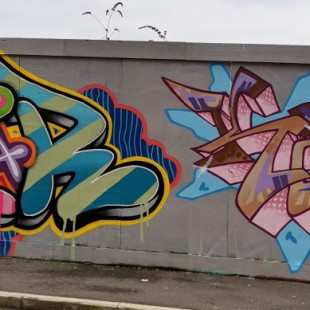 Daisy Walk Graffiti (January 2020)